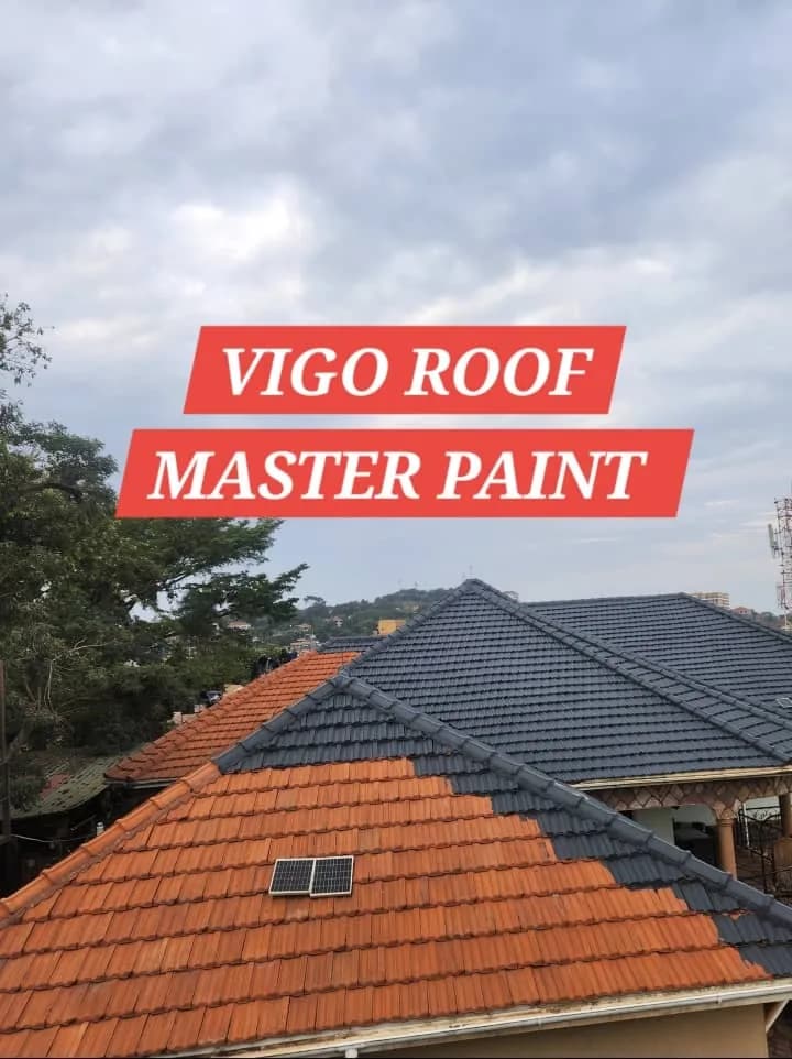 Roof Master Paint Result